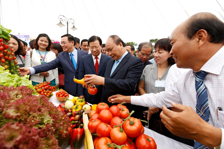 Lãnh đạo Trung ương và tỉnh thăm mô hình sản xuất nông nghiệp công nghệ cao tại Công ty Đà Lạt Hasfarm và thăm khu trưng bày triển lãm nông sản Đà Lạt - Lâm Đồng. Ảnh: Chính Thành