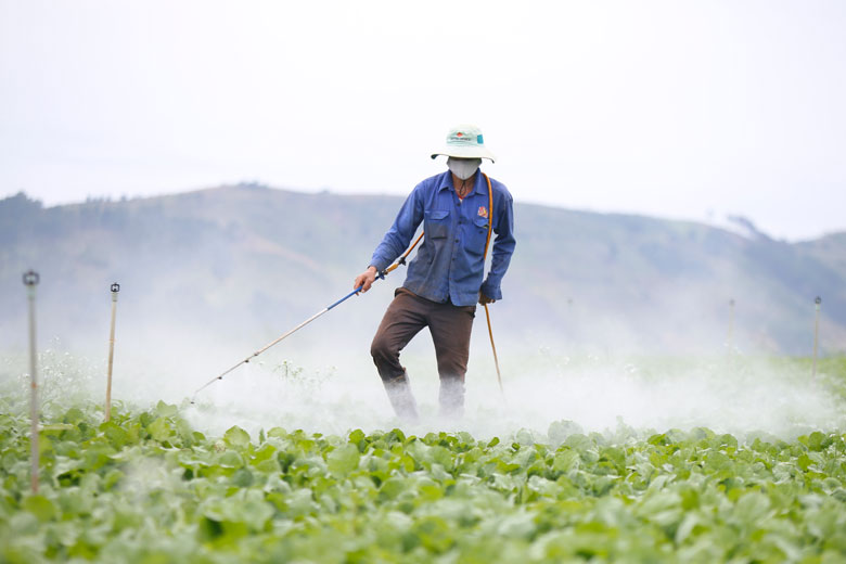 Ngành Nông nghiệp khuyến khích người dân giảm dần phụ thuộc vào phân bón vô cơ, thuốc bảo vệ thực vật để giảm chi phí sản xuất đầu vào