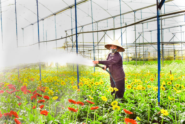 Nhiều nông dân đã chủ động đầu tư để đưa công nghệ mới vào sản xuất.