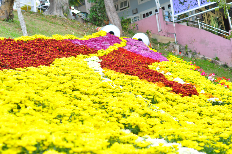 Hoa tươi Đà Lạt khoe sắc trong các kỳ Festival