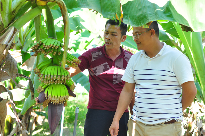 Với những quyết sách đúng đắn của địa phương, người dân Đam Rông đã và đang phát triển kinh tế hiệu quả