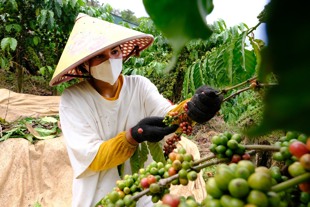 Khai thác tốt tiềm năng, thế mạnh của địa phương từng bước hỗ trợ người dân giảm nghèo